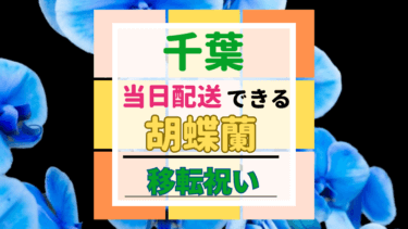 移転祝い｜胡蝶蘭を当日配送できる生花店おすすめ５選｜千葉