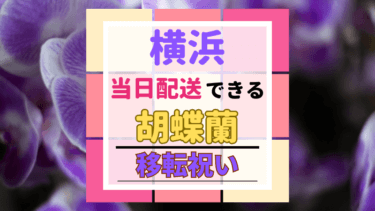 移転祝い｜胡蝶蘭を当日配送できる生花店おすすめ５選｜横浜市